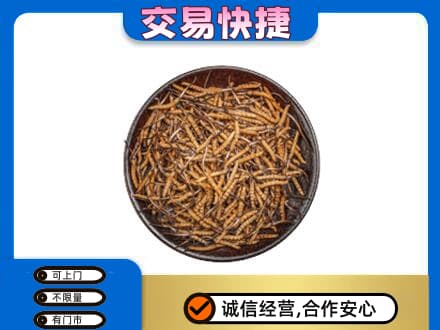 甘孜州康定高价回收散虫草