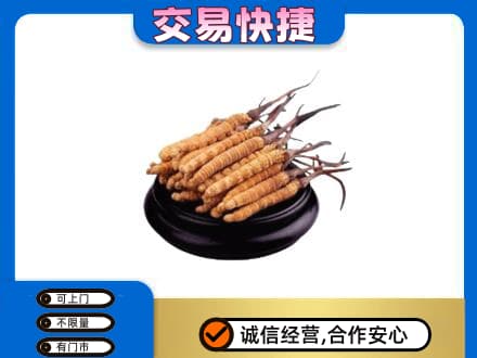 甘孜州康定高价回收冬虫夏草多少钱每克